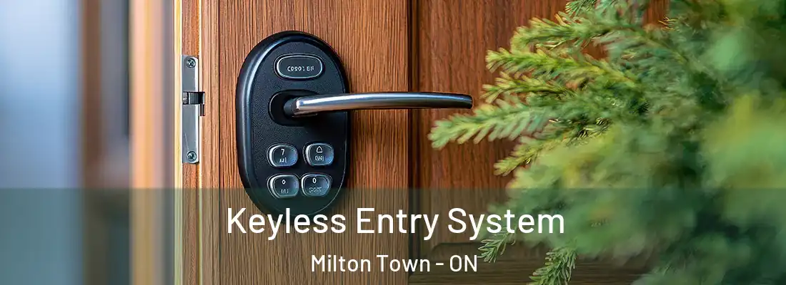  Keyless Entry System Milton Town - ON
