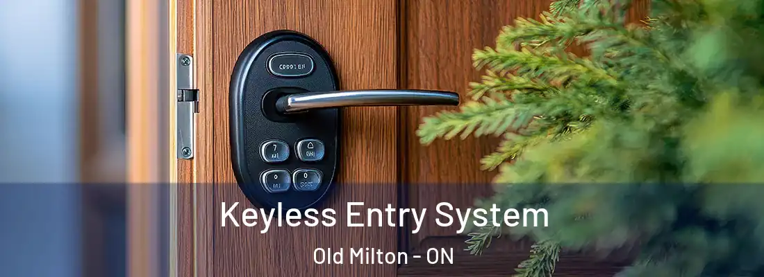  Keyless Entry System Old Milton - ON