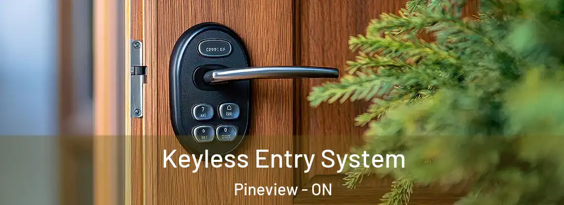  Keyless Entry System Pineview - ON
