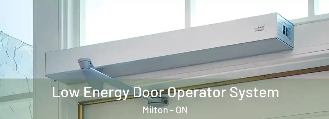  Low Energy Door Operator System Milton - ON