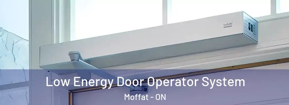  Low Energy Door Operator System Moffat - ON