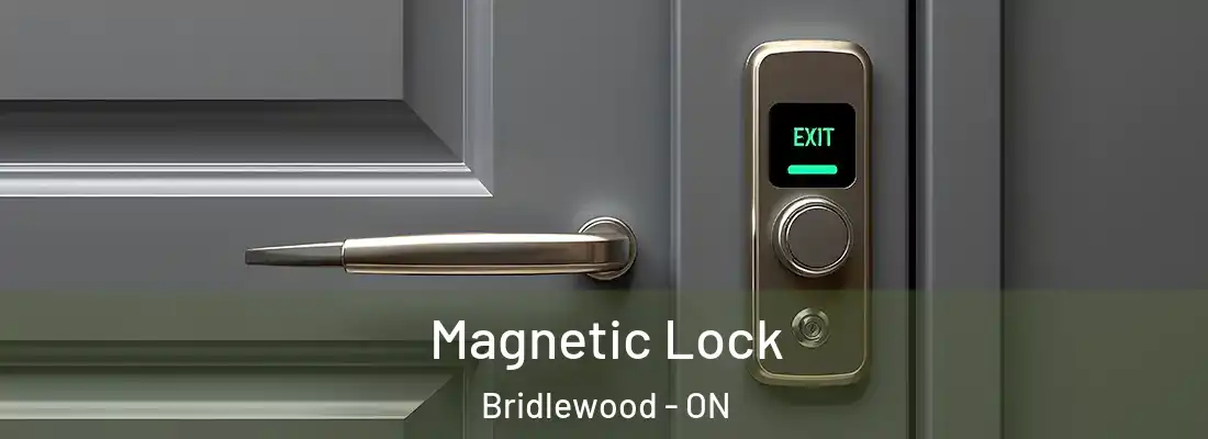  Magnetic Lock Bridlewood - ON