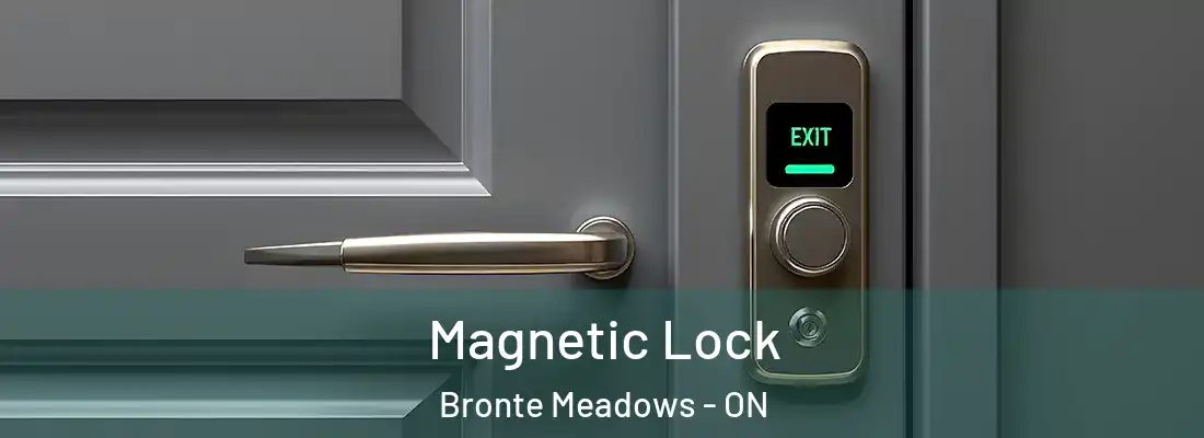  Magnetic Lock Bronte Meadows - ON