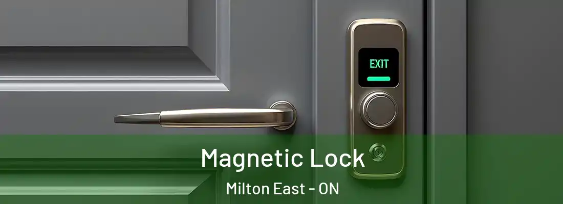  Magnetic Lock Milton East - ON