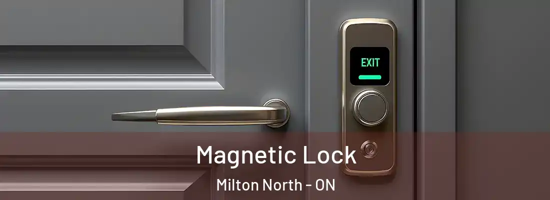  Magnetic Lock Milton North - ON