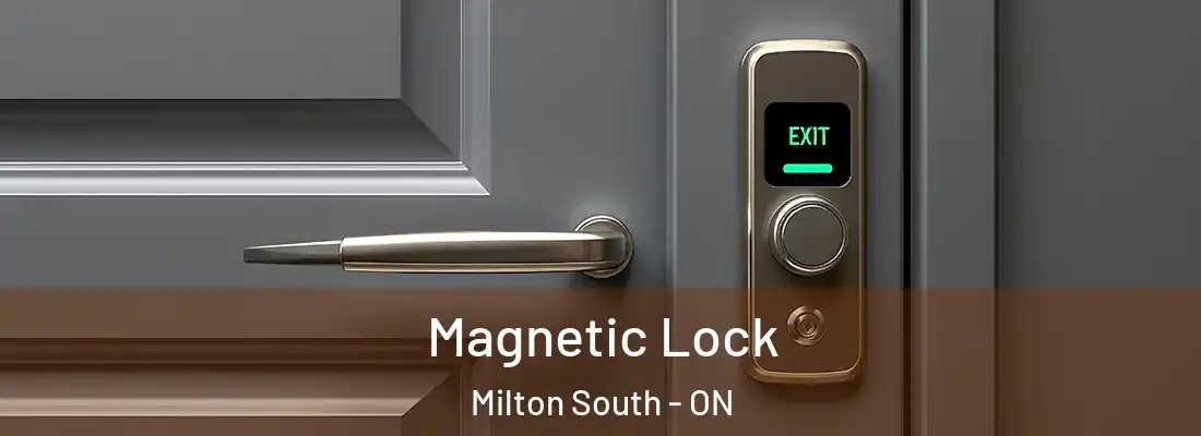  Magnetic Lock Milton South - ON