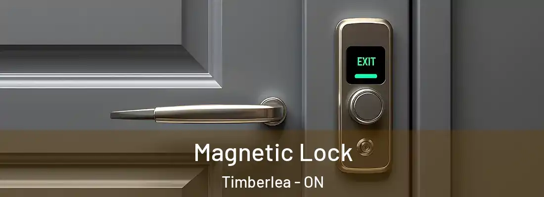  Magnetic Lock Timberlea - ON