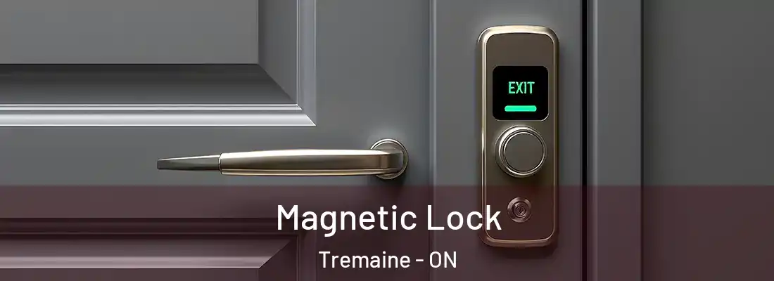  Magnetic Lock Tremaine - ON