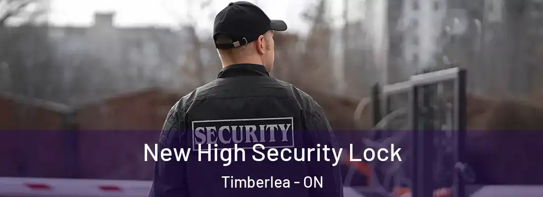  New High Security Lock Timberlea - ON