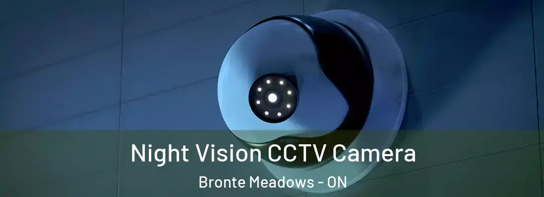  Night Vision CCTV Camera Bronte Meadows - ON