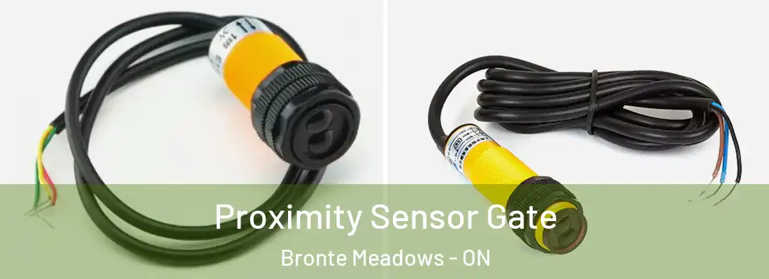  Proximity Sensor Gate Bronte Meadows - ON