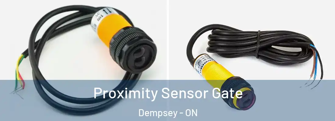  Proximity Sensor Gate Dempsey - ON