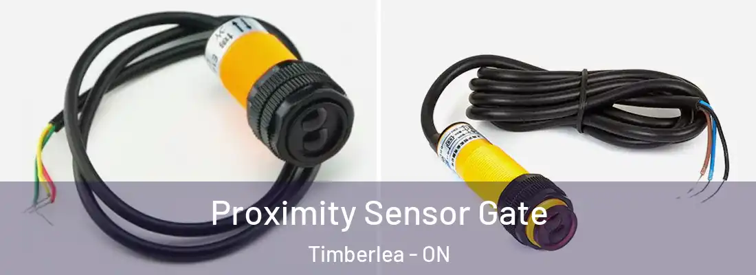  Proximity Sensor Gate Timberlea - ON