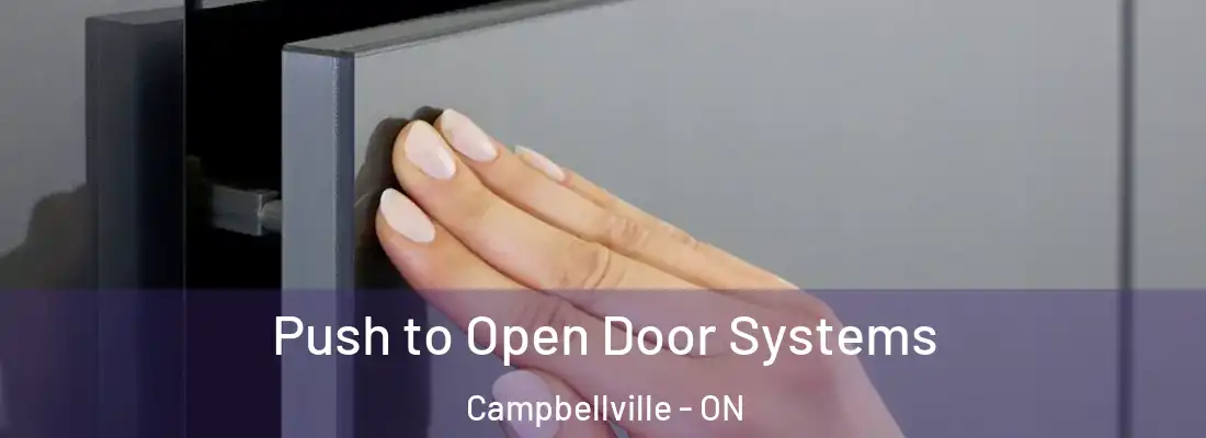  Push to Open Door Systems Campbellville - ON