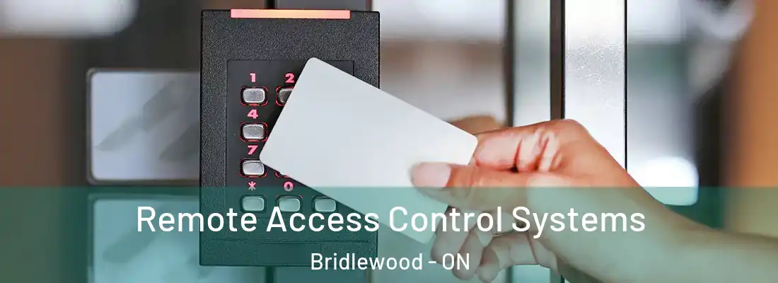  Remote Access Control Systems Bridlewood - ON