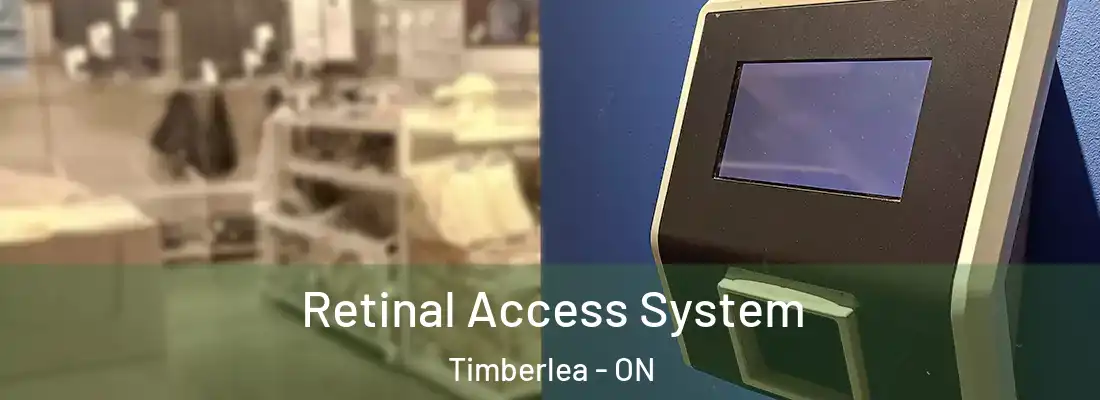  Retinal Access System Timberlea - ON
