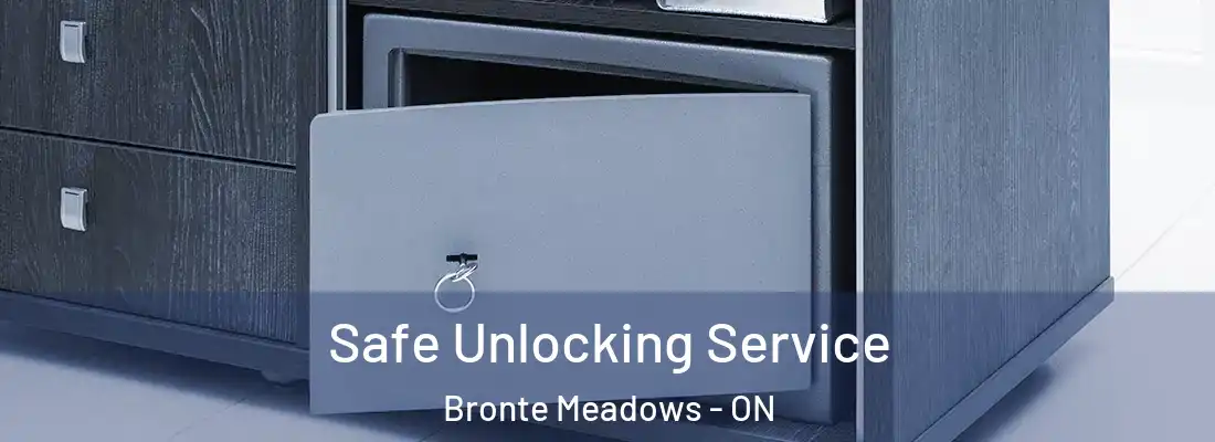  Safe Unlocking Service Bronte Meadows - ON