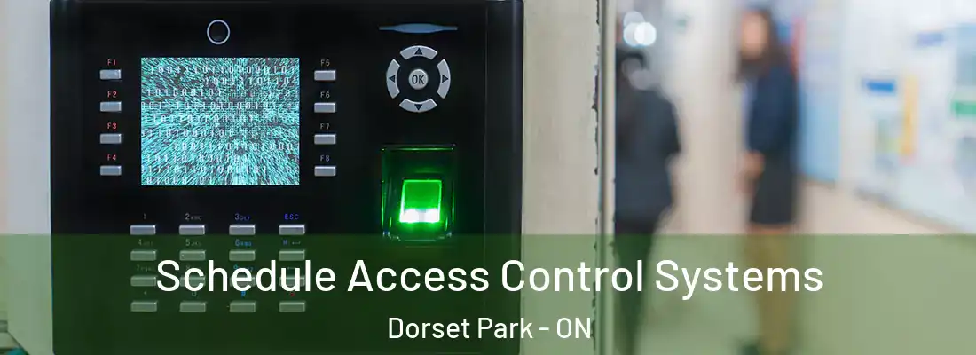  Schedule Access Control Systems Dorset Park - ON