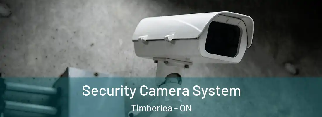  Security Camera System Timberlea - ON