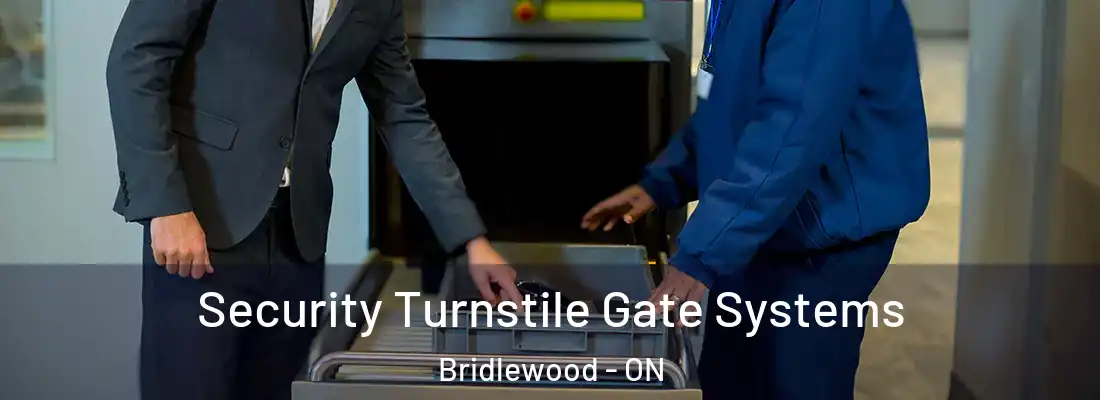  Security Turnstile Gate Systems Bridlewood - ON