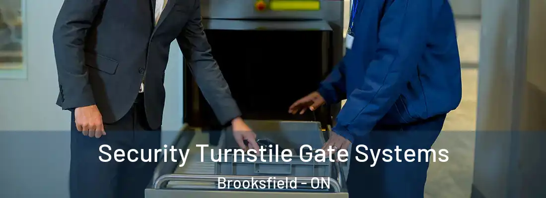  Security Turnstile Gate Systems Brooksfield - ON