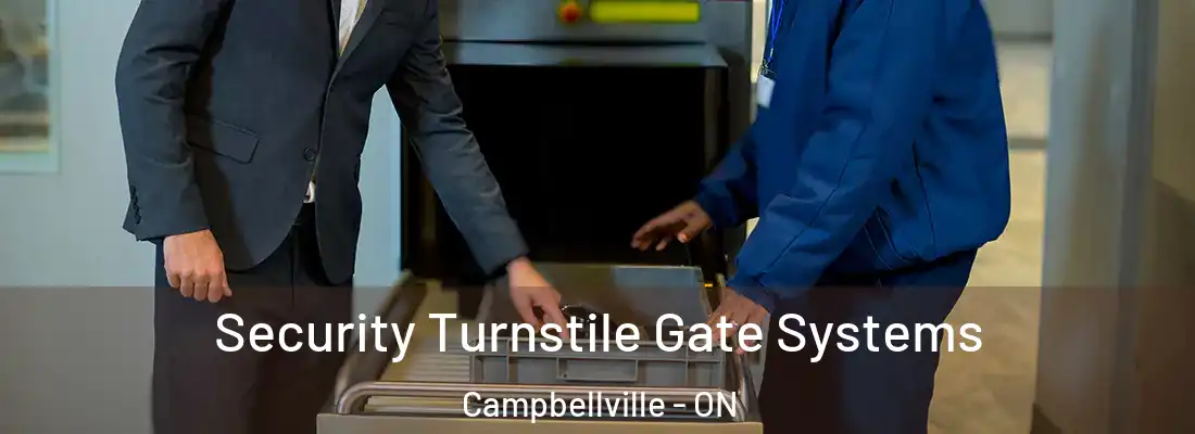  Security Turnstile Gate Systems Campbellville - ON