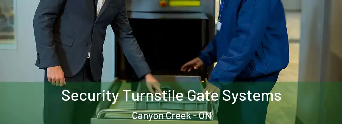  Security Turnstile Gate Systems Canyon Creek - ON