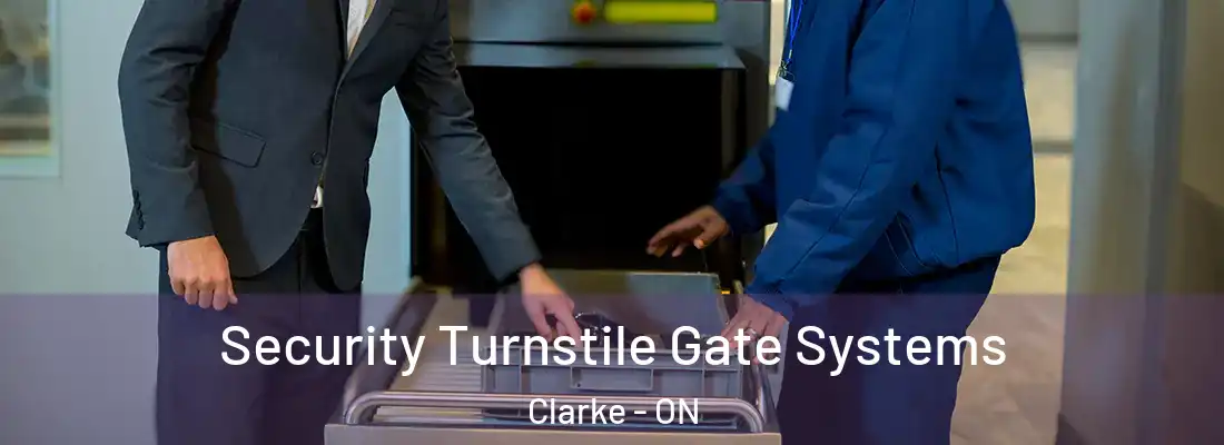 Security Turnstile Gate Systems Clarke - ON