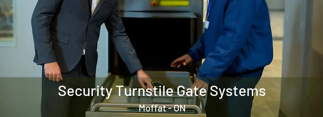  Security Turnstile Gate Systems Moffat - ON