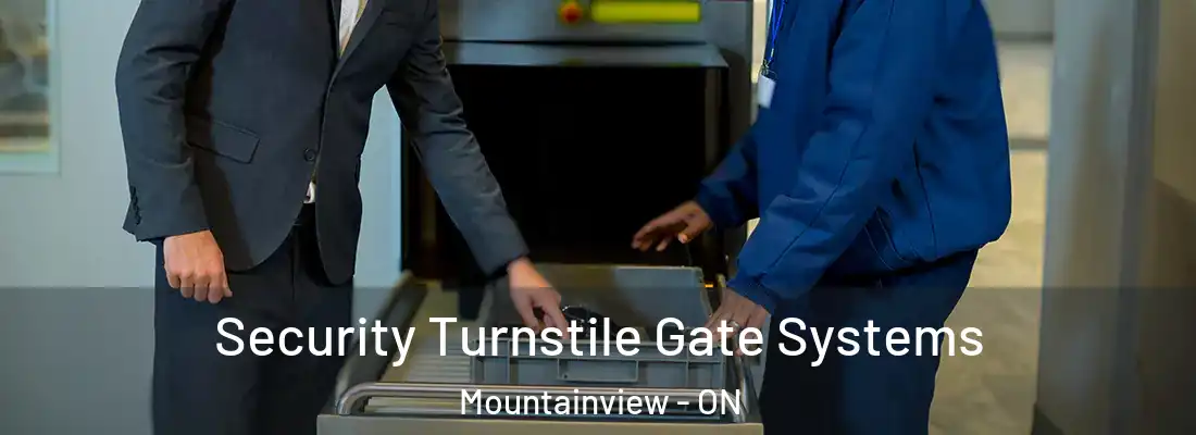  Security Turnstile Gate Systems Mountainview - ON