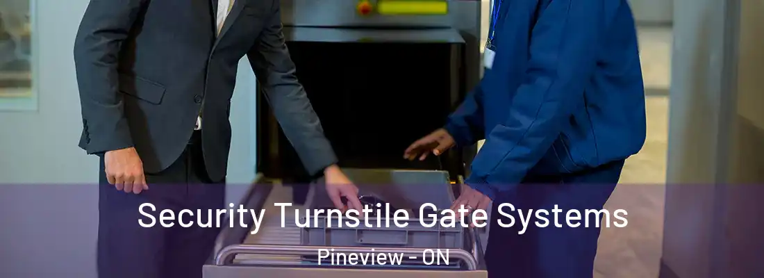  Security Turnstile Gate Systems Pineview - ON