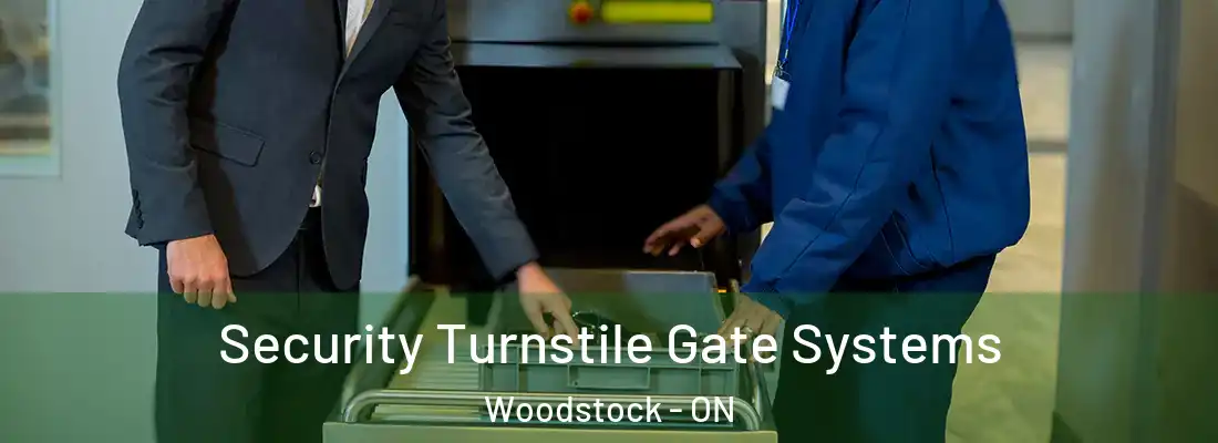  Security Turnstile Gate Systems Woodstock - ON
