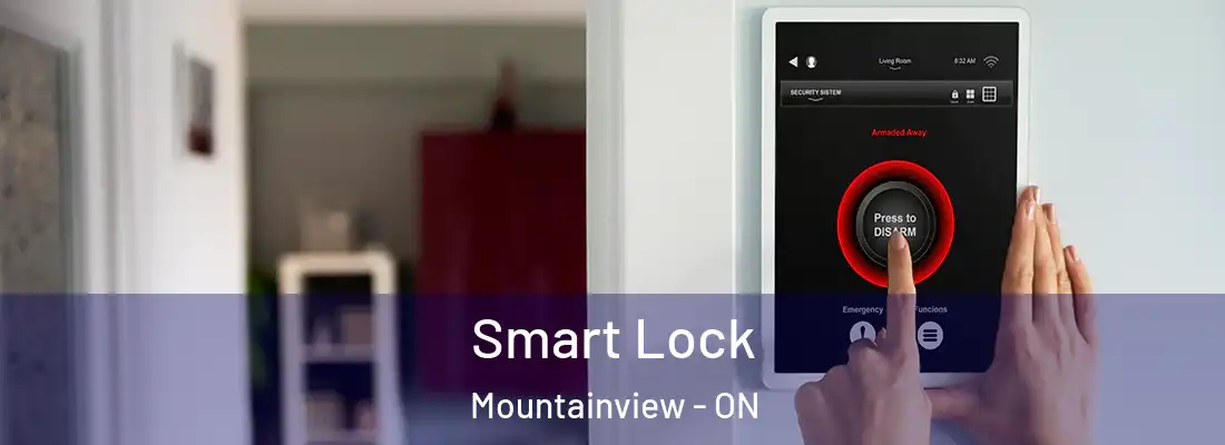  Smart Lock Mountainview - ON