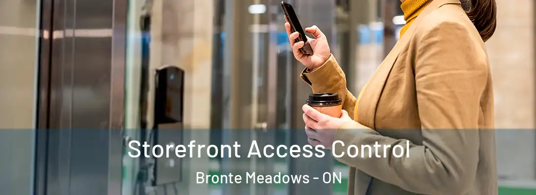  Storefront Access Control Bronte Meadows - ON