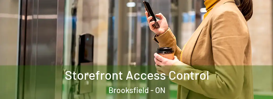  Storefront Access Control Brooksfield - ON