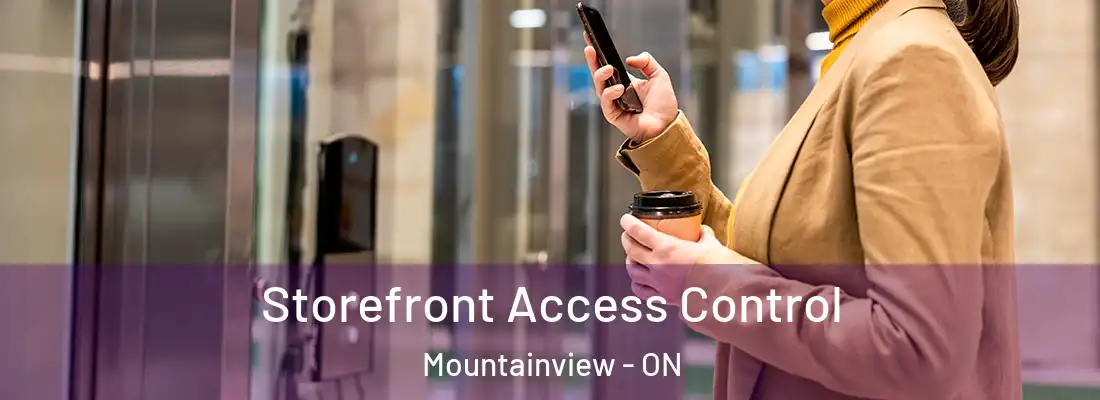  Storefront Access Control Mountainview - ON