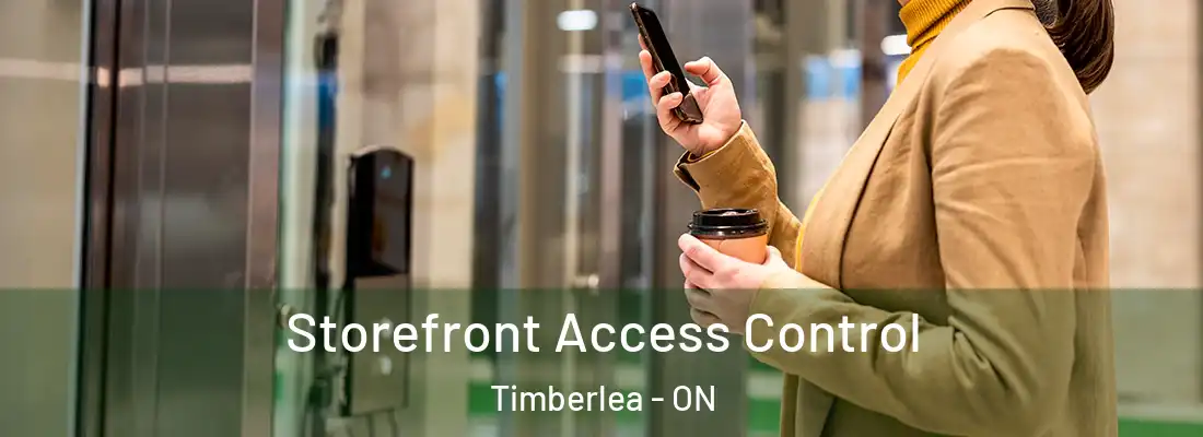  Storefront Access Control Timberlea - ON