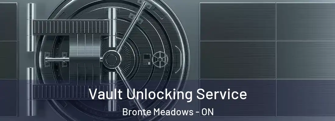  Vault Unlocking Service Bronte Meadows - ON