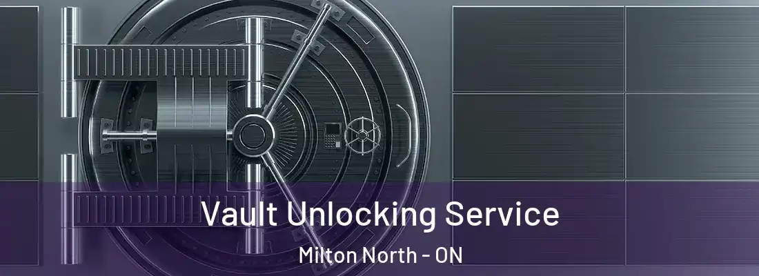  Vault Unlocking Service Milton North - ON