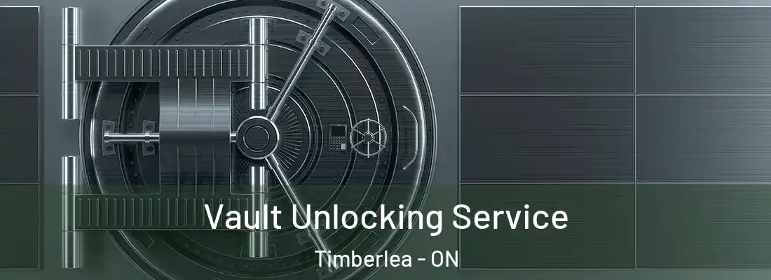  Vault Unlocking Service Timberlea - ON